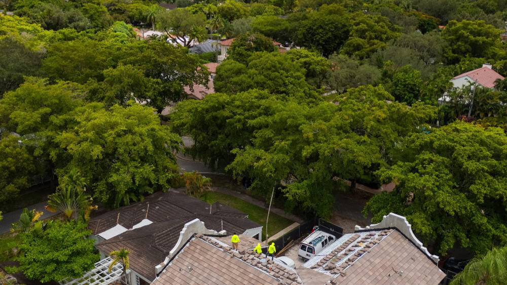 Doga Construction team removing trees in a residential neighborhood.